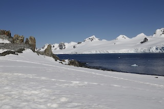 Snow scene 2019, Photo by Brad Borkan