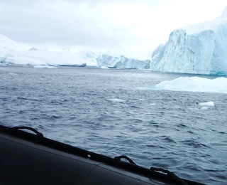 Antarctica, Nov 2109 Photo by Brad Borkan